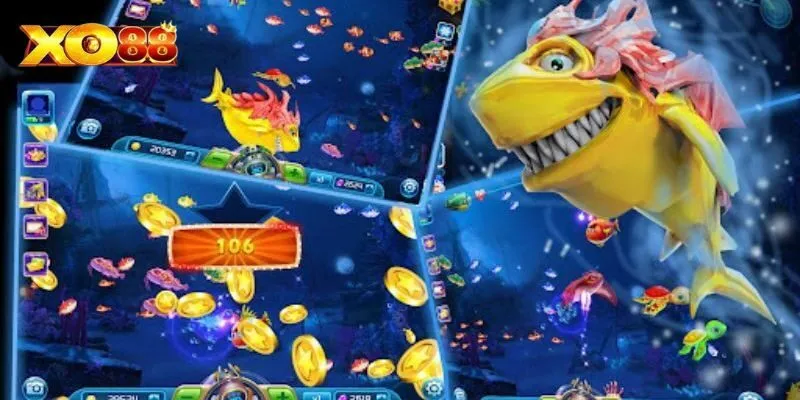 Cách tham gia fishing disco đơn giản cho người mới bắt đầu