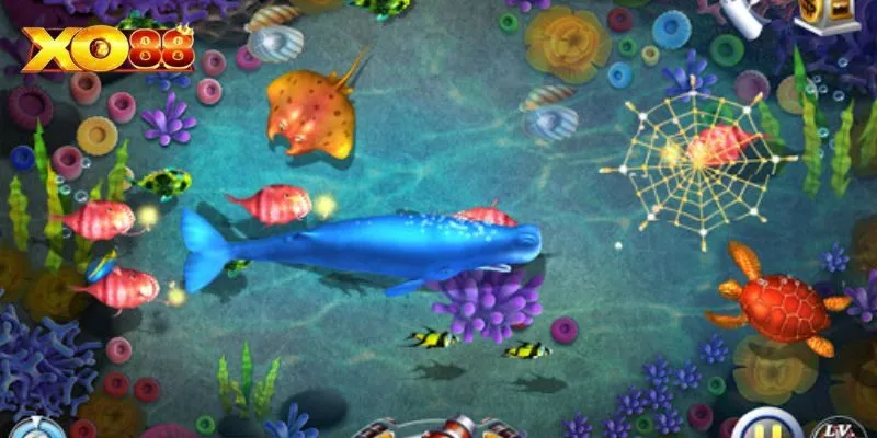 Hướng dẫn bước cơ bản trải nghiệm lucky fishing tại Xo88